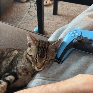 Meet your Posher, Jeremiah